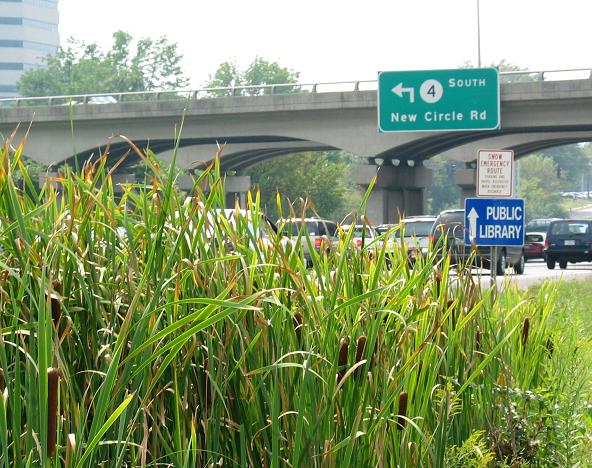 interstate 64 in Louisville